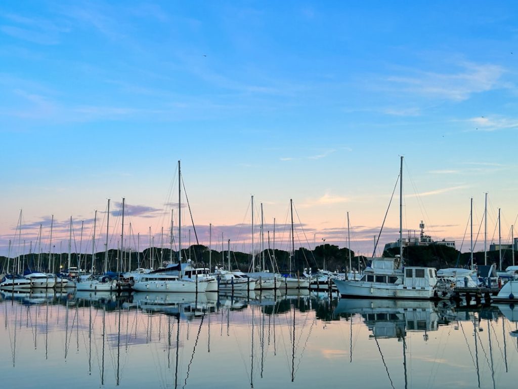 découvrez l'univers d'aprilia, la marque iconique de motos italiennes alliant performance, design audacieux et innovation. explorez nos modèles de motos sportives et de scooters, et vivez la passion de la route avec aprilia.