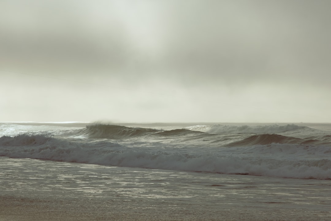 découvrez tout sur les furets, ces animaux de compagnie fascinants et joueurs ! apprenez leurs besoins, comportements et conseils de soin pour une vie heureuse avec votre furet.