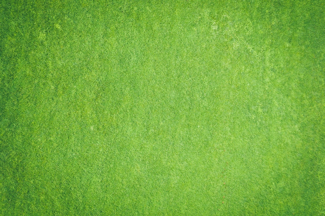 découvrez notre assurance moto verte, conçue pour les passionnés de motos soucieux de l'environnement. protégez votre deux-roues tout en réduisant votre empreinte carbone grâce à nos options d'assurance écologiques. devis rapide et un service client dédié pour vous accompagner.