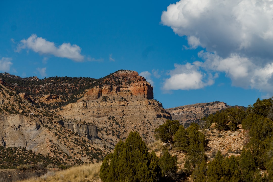 découvrez les meilleures offres et comparez les prix pour faire des économies sur vos achats. profitez des conseils d'experts pour dénicher les meilleures affaires sur le marché.