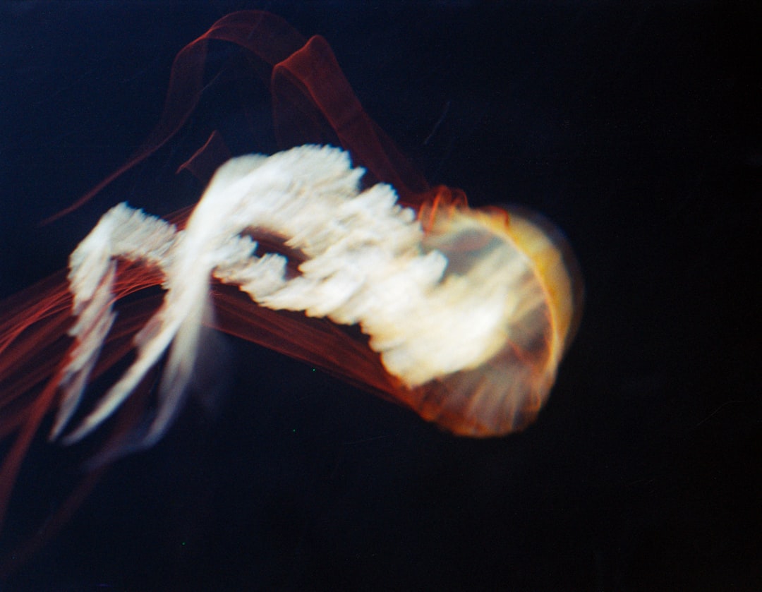 découvrez april, un acteur majeur dans le secteur de l'assurance et des services financiers, offrant des solutions innovantes et adaptées aux besoins de chacun. explorez nos offres personnalisées pour une protection optimale.