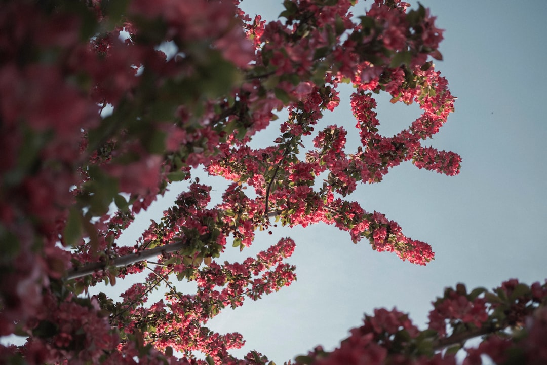 découvrez le système de bonus-malus, un mécanisme essentiel en assurance automobile qui récompense les conducteurs prudents tout en pénalisant ceux qui ont des comportements à risque. informez-vous sur son fonctionnement, ses avantages et comment il impacte vos primes d'assurance.