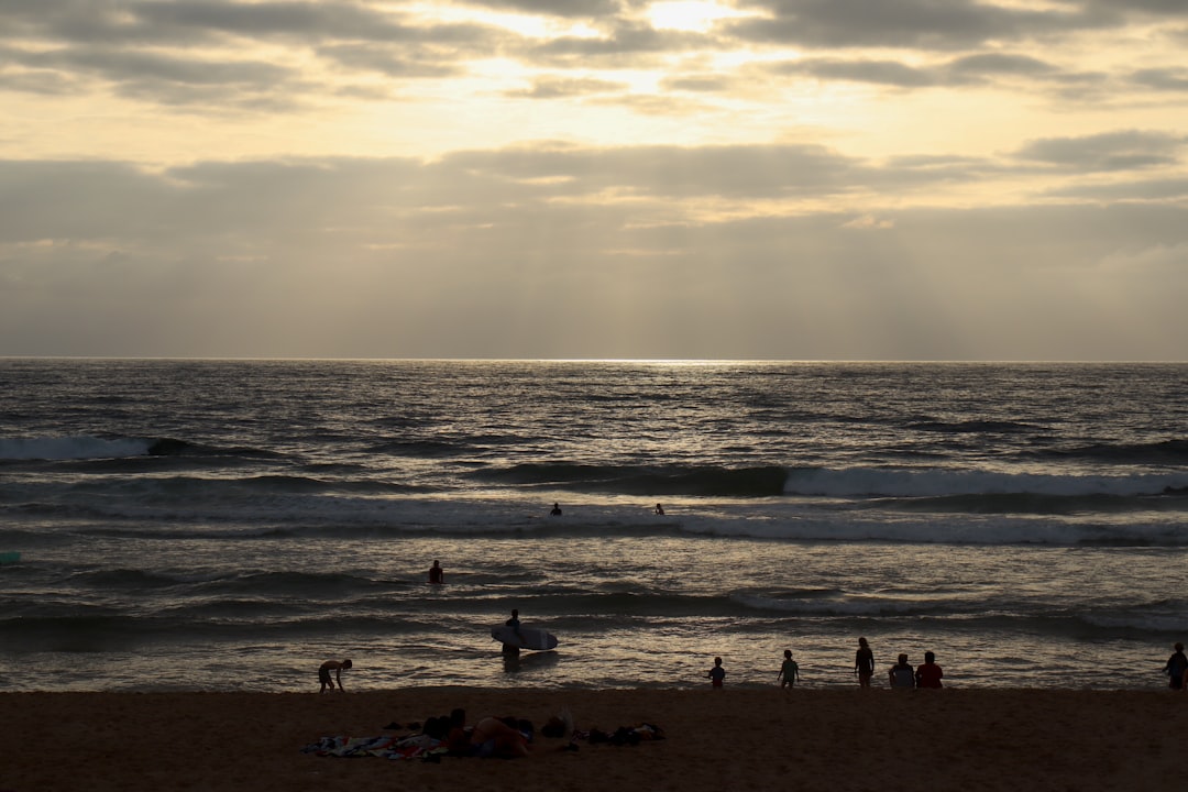 découvrez l'univers fascinant des furets, ces petits compagnons malicieux et affectueux. apprenez tout sur leur comportement, leur alimentation et les soins nécessaires pour les garder heureux et en bonne santé.