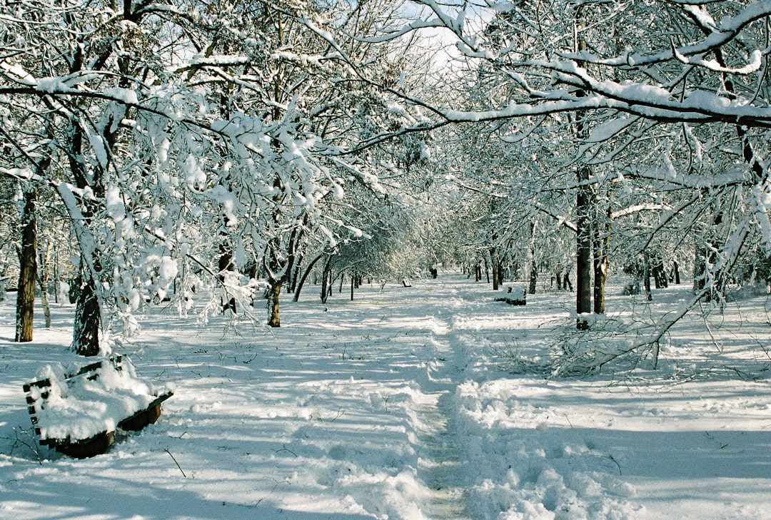 découvrez le processus de winterization, une étape essentielle pour préparer vos installations et équipements à affronter les rigueurs de l'hiver. optimisez la protection contre le gel et assurez un fonctionnement efficace tout au long de la saison froide.